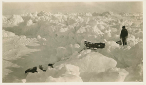 Image: Sledging on the Polar ice